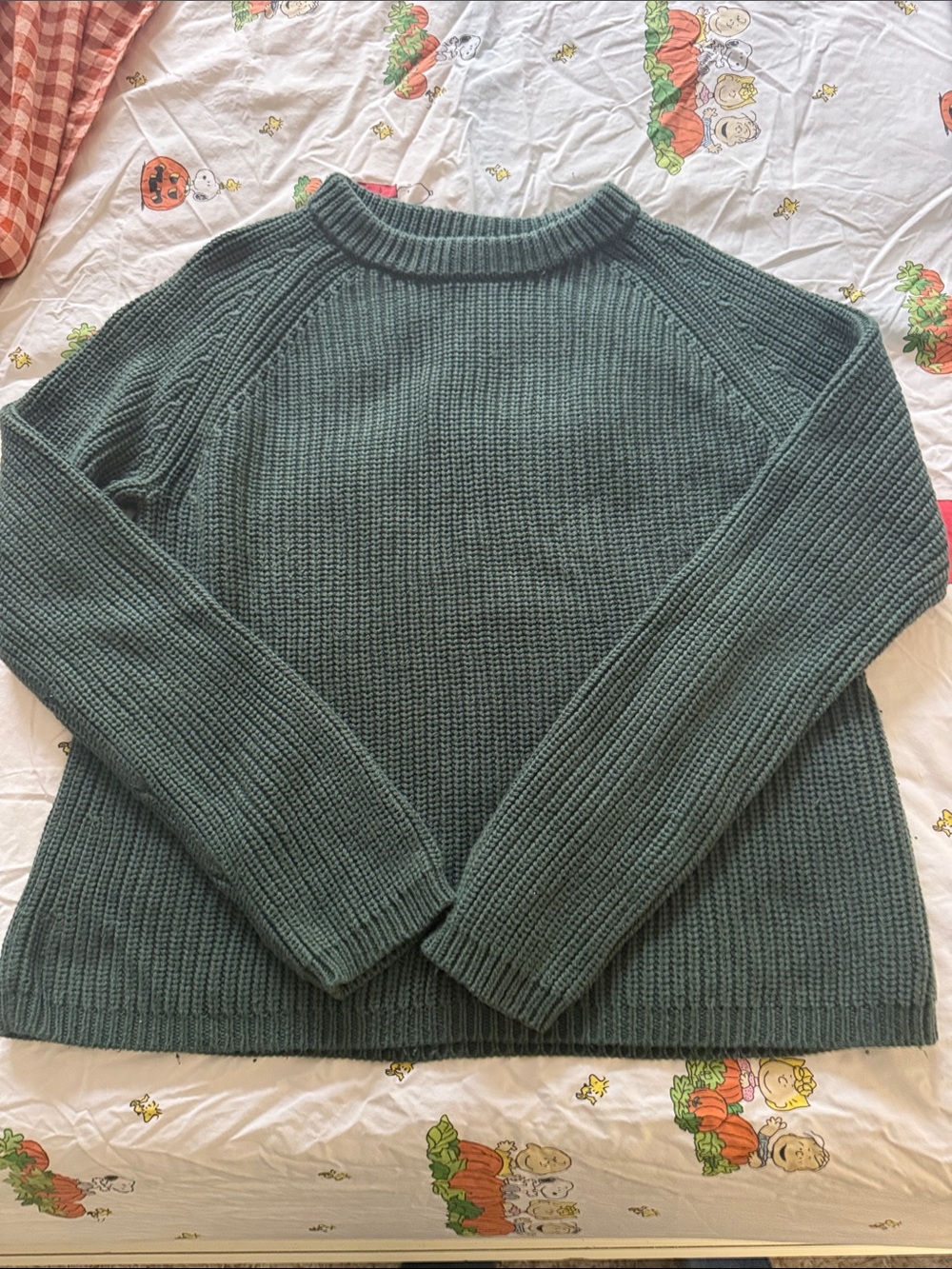 Quince fisherman sweater in Big Sur Green